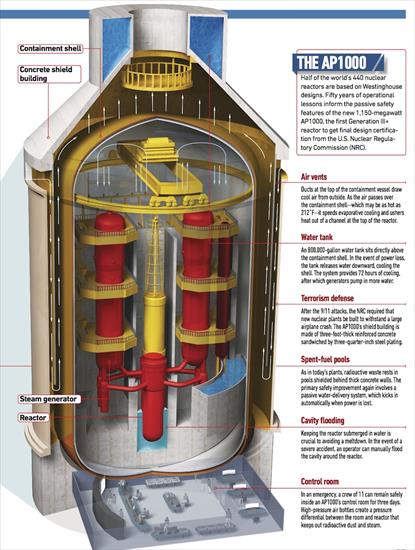 Westinghouse AP1000 - AP1000 - model reaktora.jpg