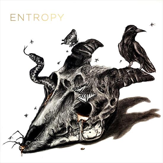 2021 - Entropy - cover.jpg